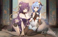 .NET9 没有swagger怎么办？