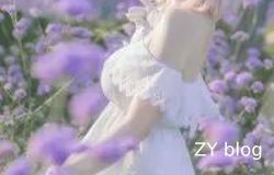 使用Cursor网页版优化SharpIcoWeb项目